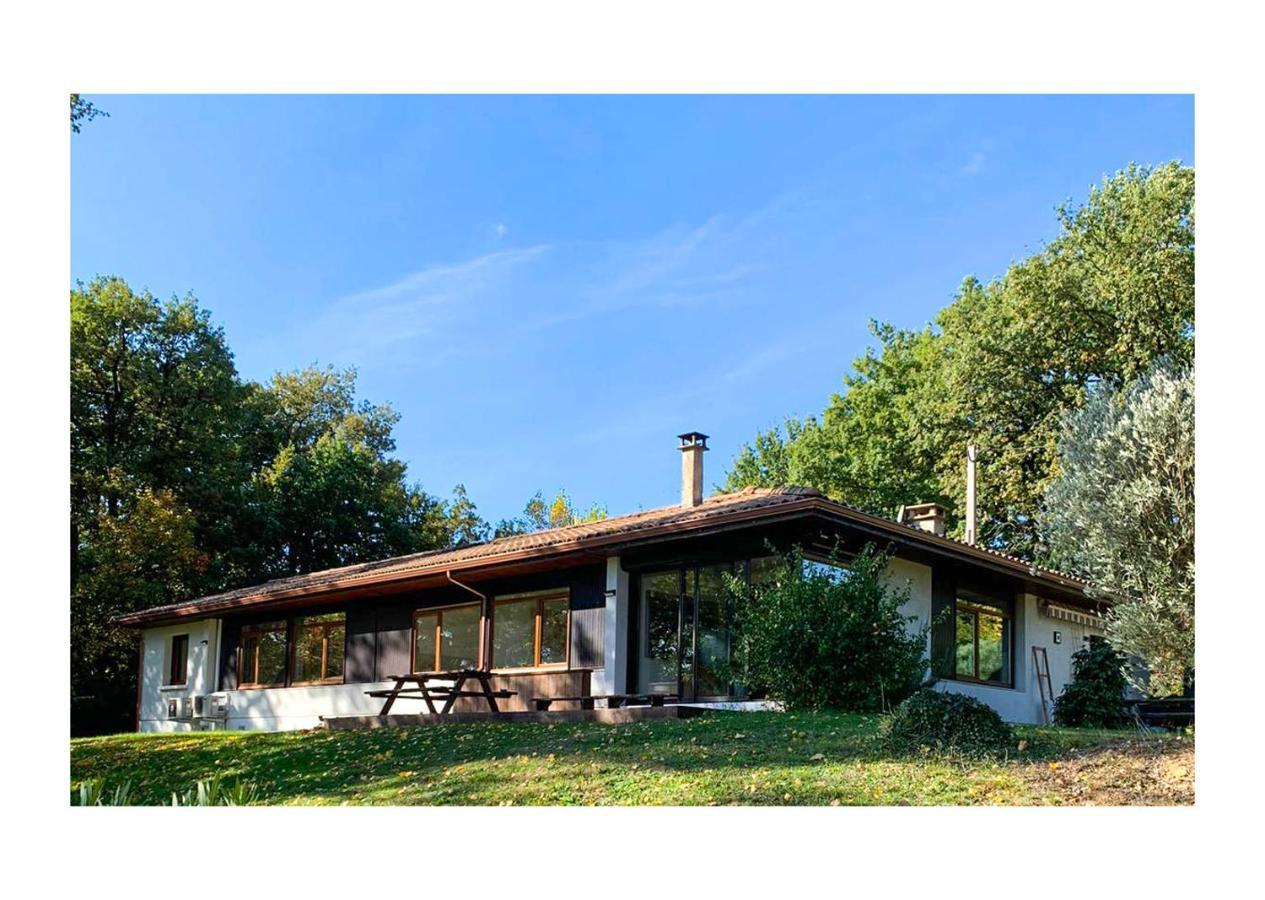 Villa Green Oak Windows & Wood *
