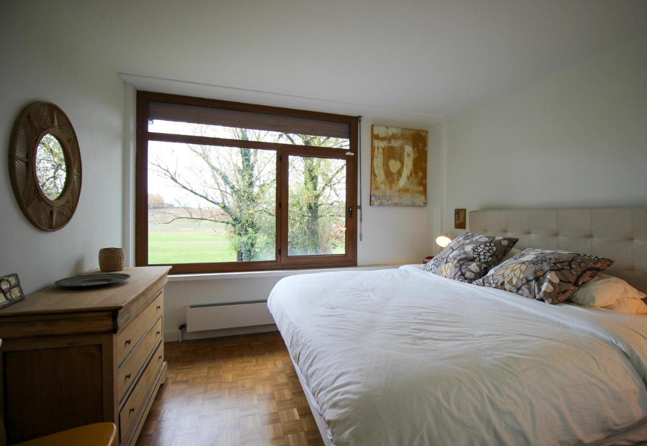 Green Oak Windows & Wood * Albi