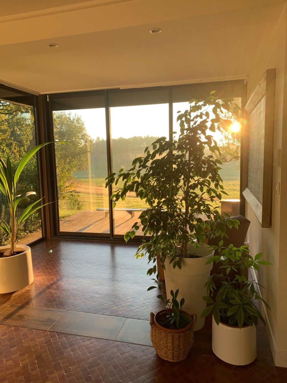 Green Oak Windows & Wood Villa *