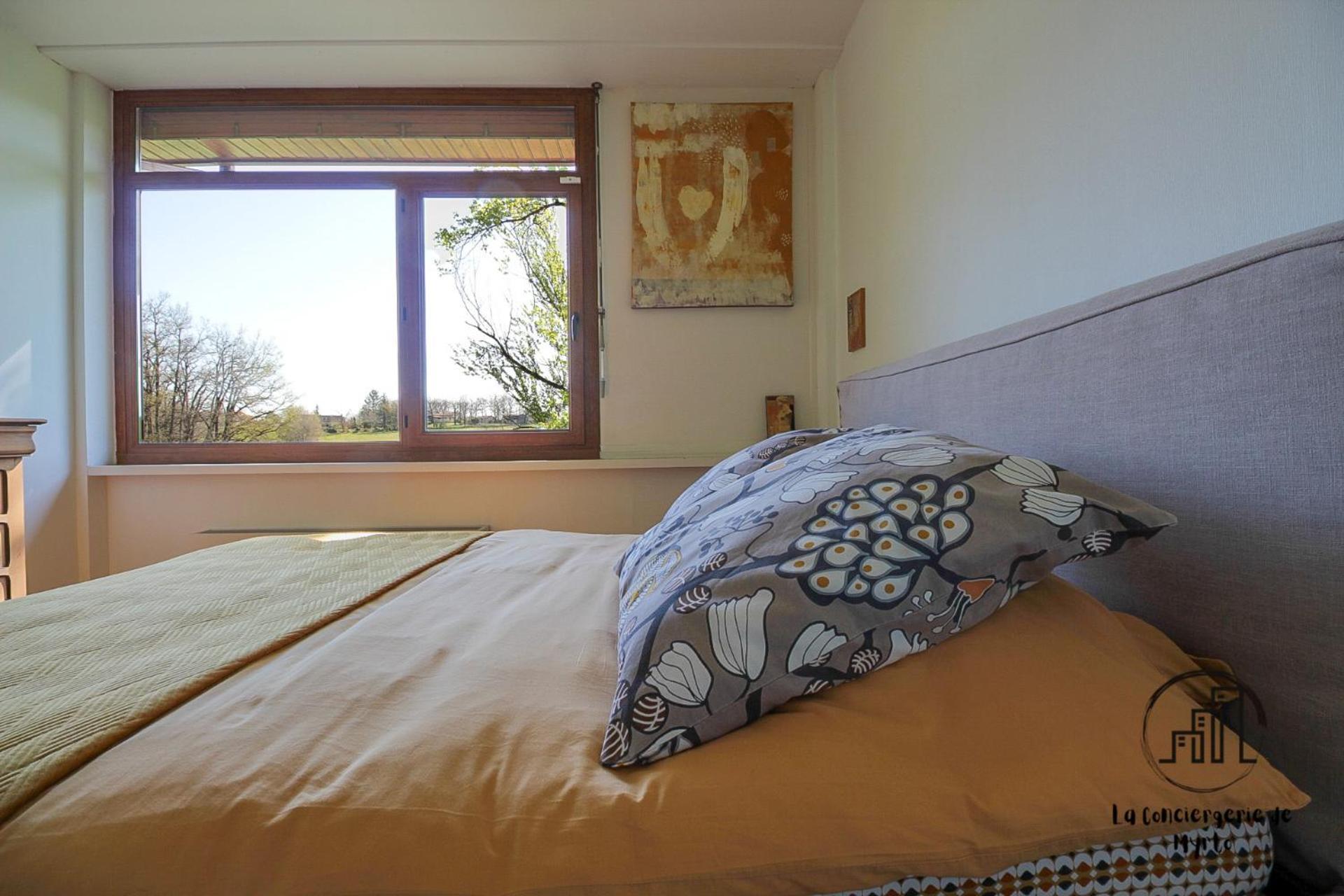 Villa Green Oak Windows & Wood *