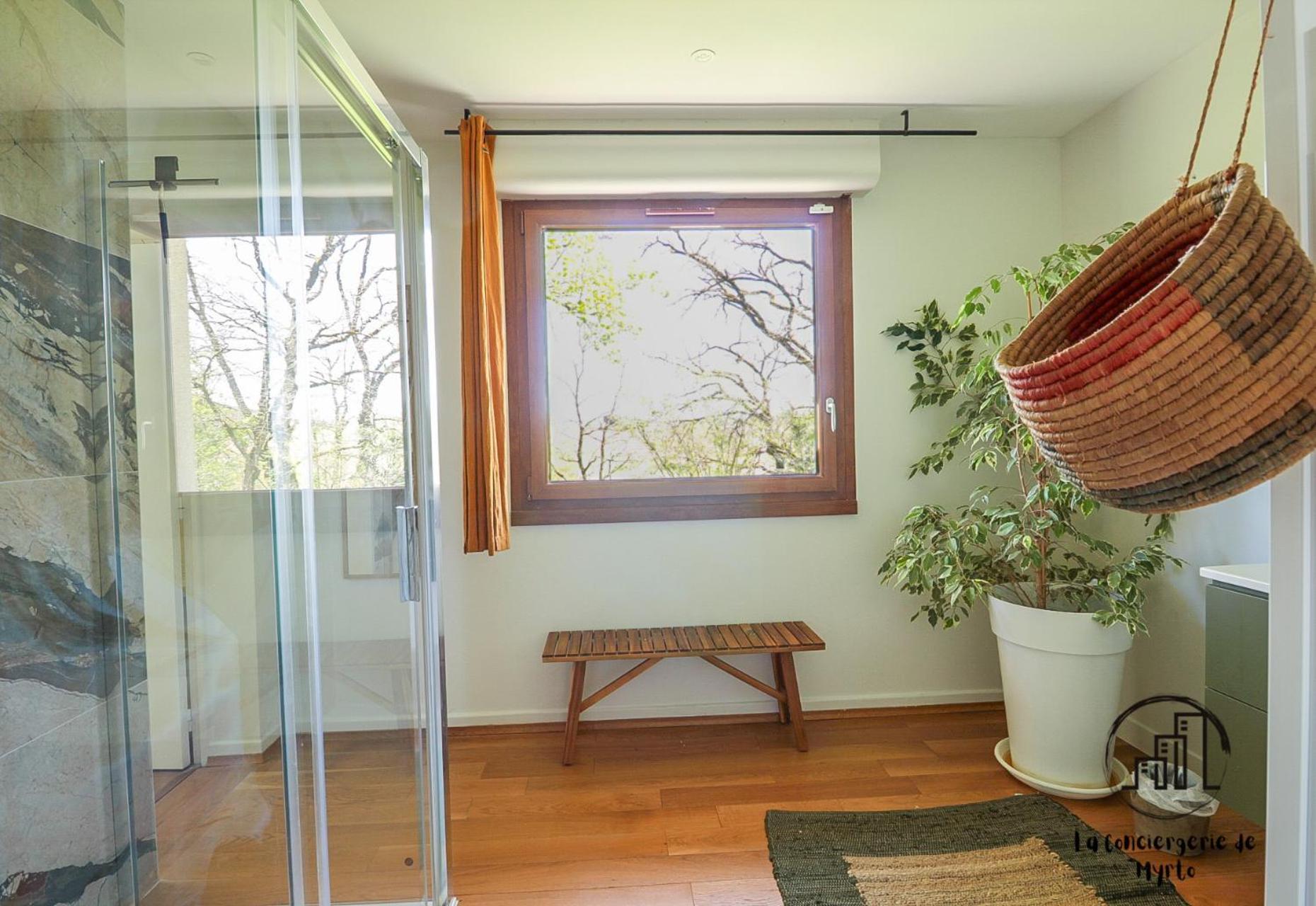 Green Oak Windows & Wood Albi